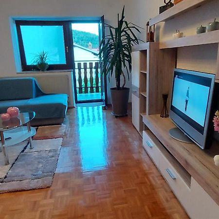 Apartma Pr' Ivani Miskorinovi Breginj Extérieur photo