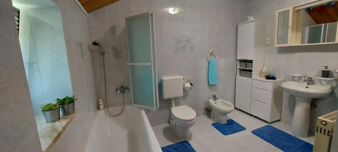 Apartma Pr' Ivani Miskorinovi Breginj Extérieur photo